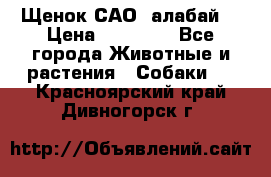 Щенок САО (алабай) › Цена ­ 10 000 - Все города Животные и растения » Собаки   . Красноярский край,Дивногорск г.